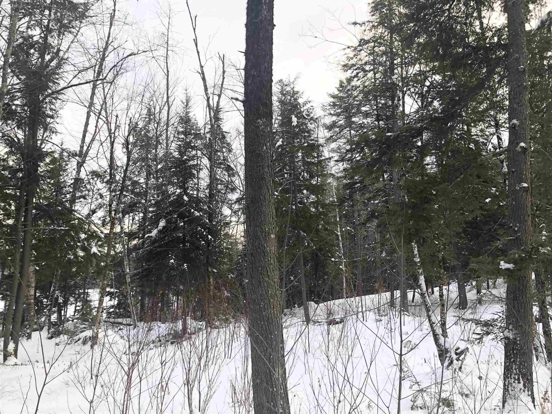 1063 Halls Lake Road Newbury VT 05051