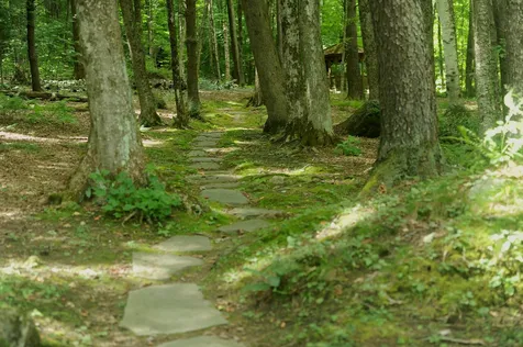 730 Mcnamara Road Dorset VT 05251