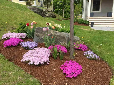 449 Thomas Lane Stowe VT 05672
