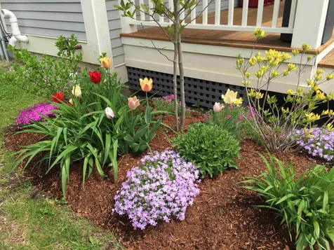 449 Thomas Lane Stowe VT 05672