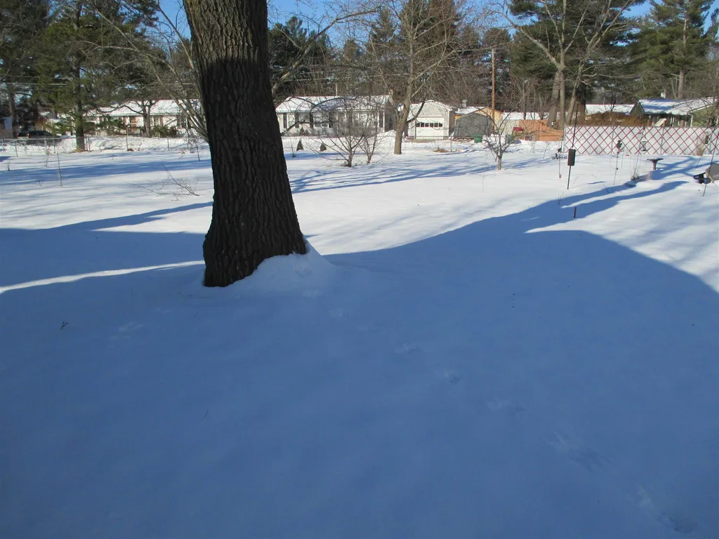 40 Dewey Street Rochester NH 03867