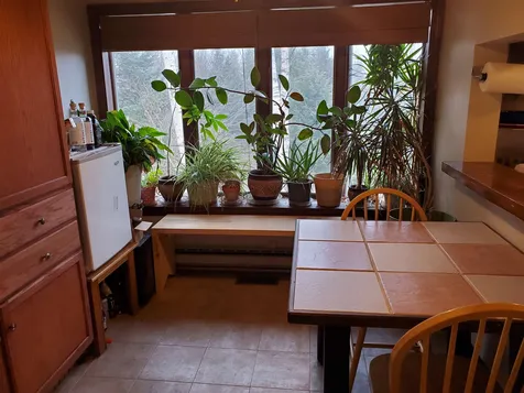 55 Pine Ridge Road Springfield VT 05156