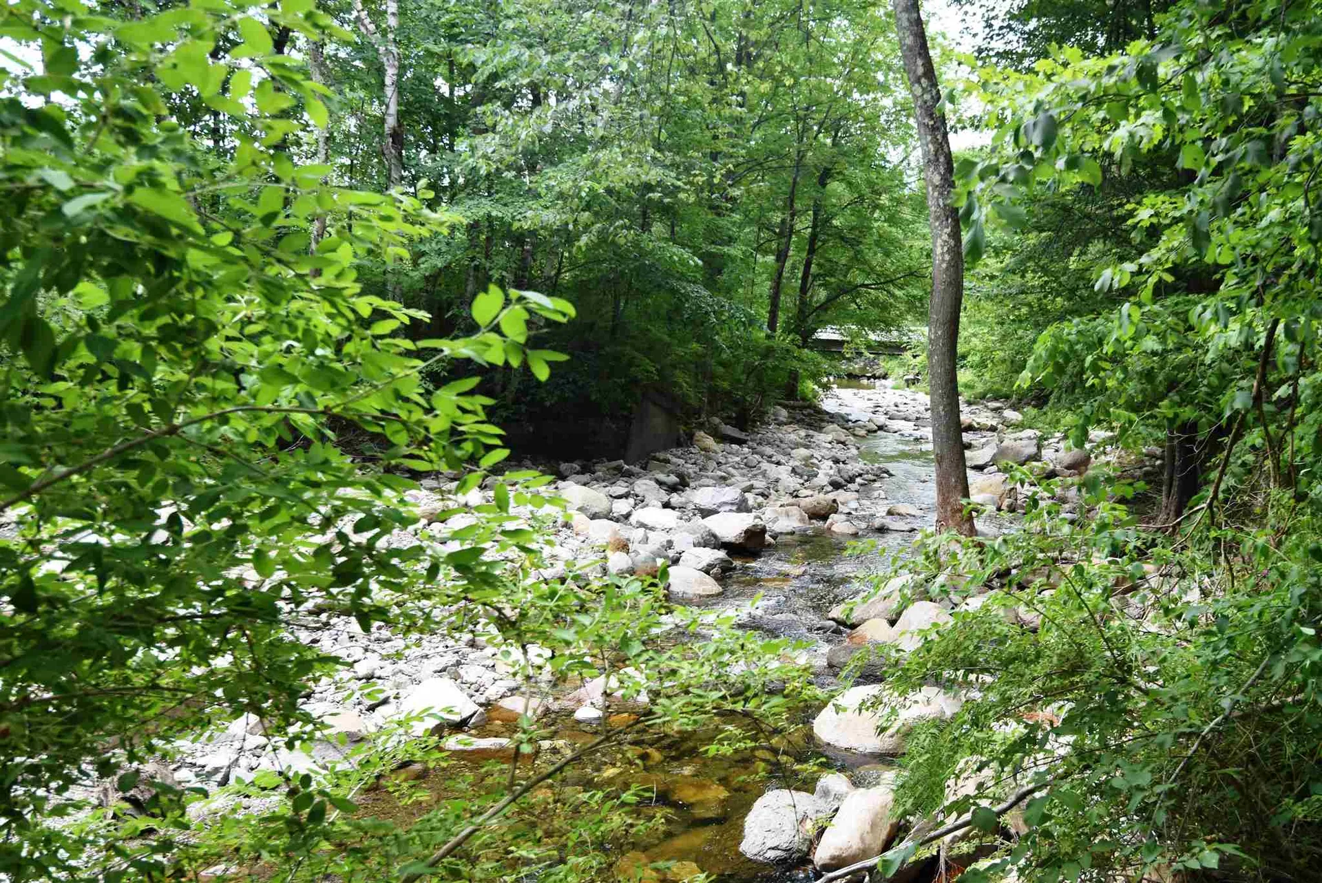1868 North Route 116 Bristol VT 05443