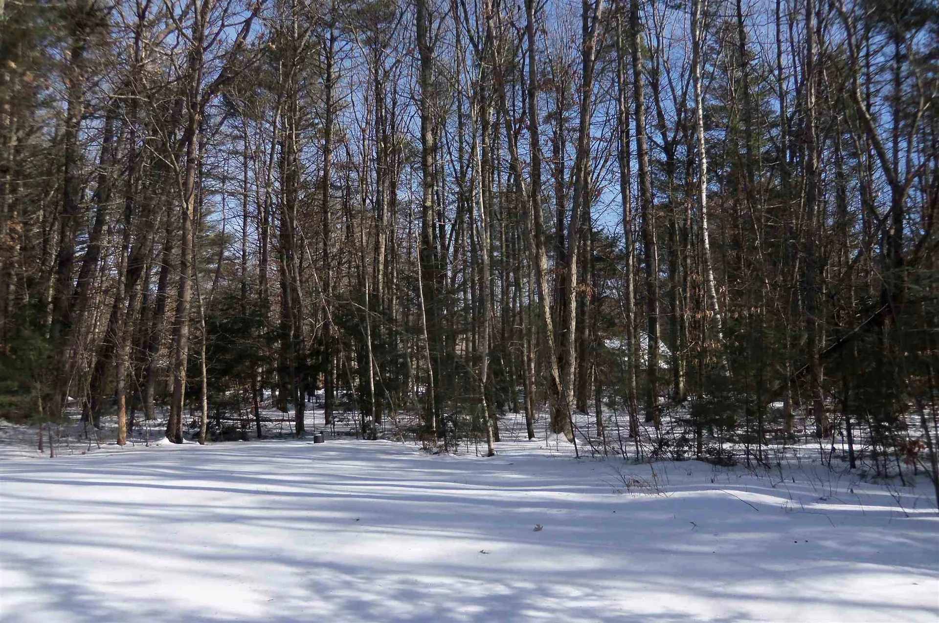 48 Belle Lane Lee NH 03861