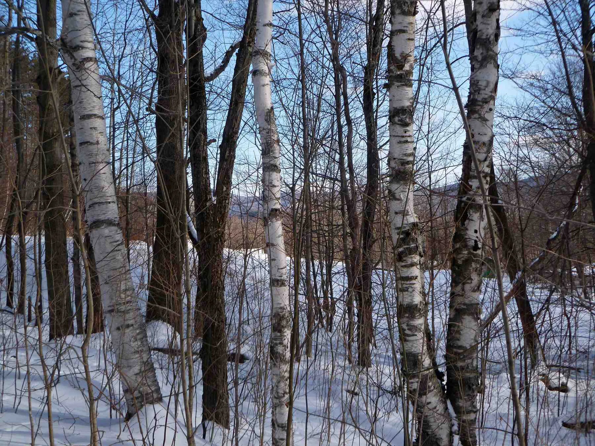 24 Triview Road Warren VT 05674
