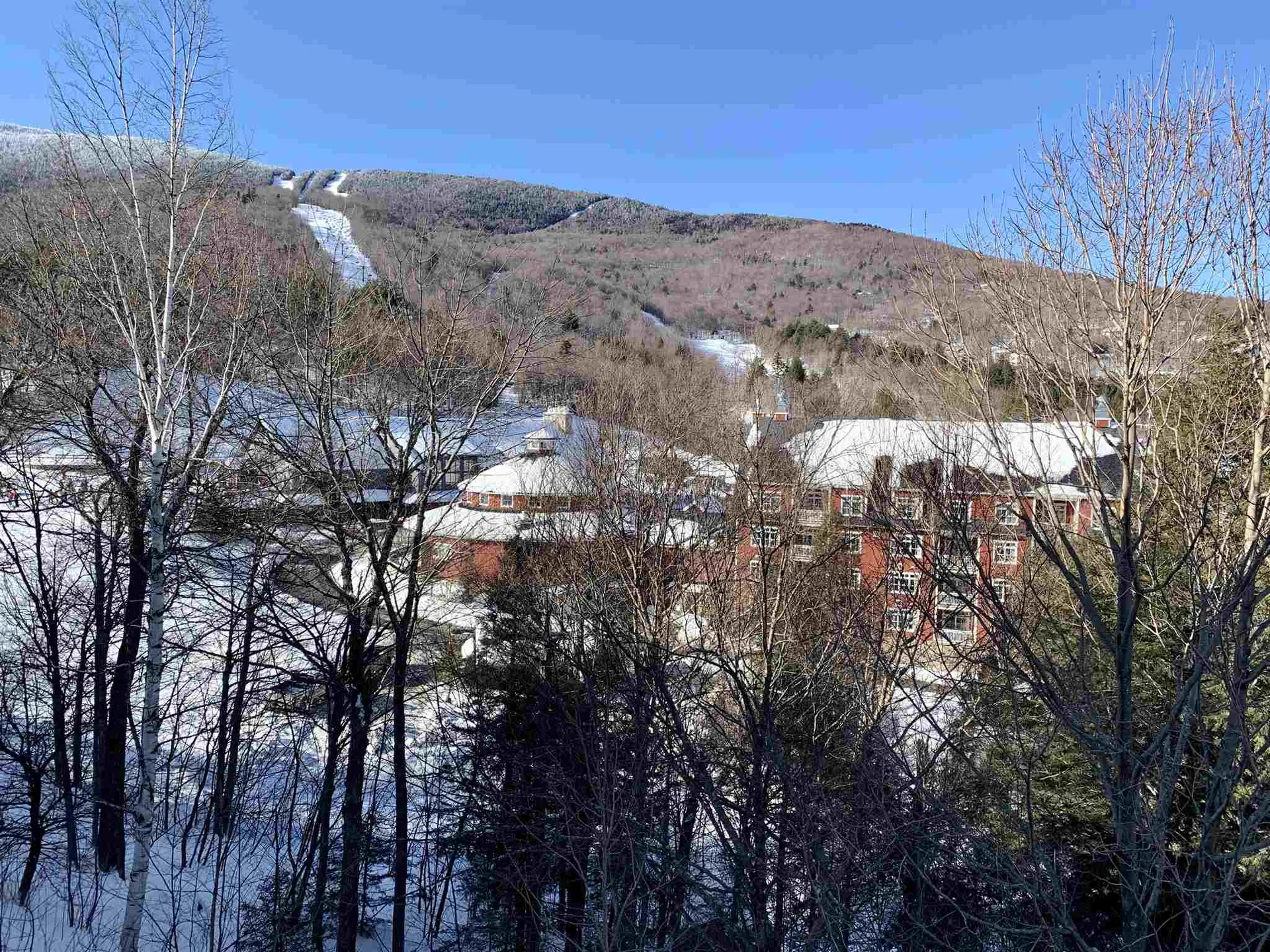 25 Snow Creek Road Warren VT 05674