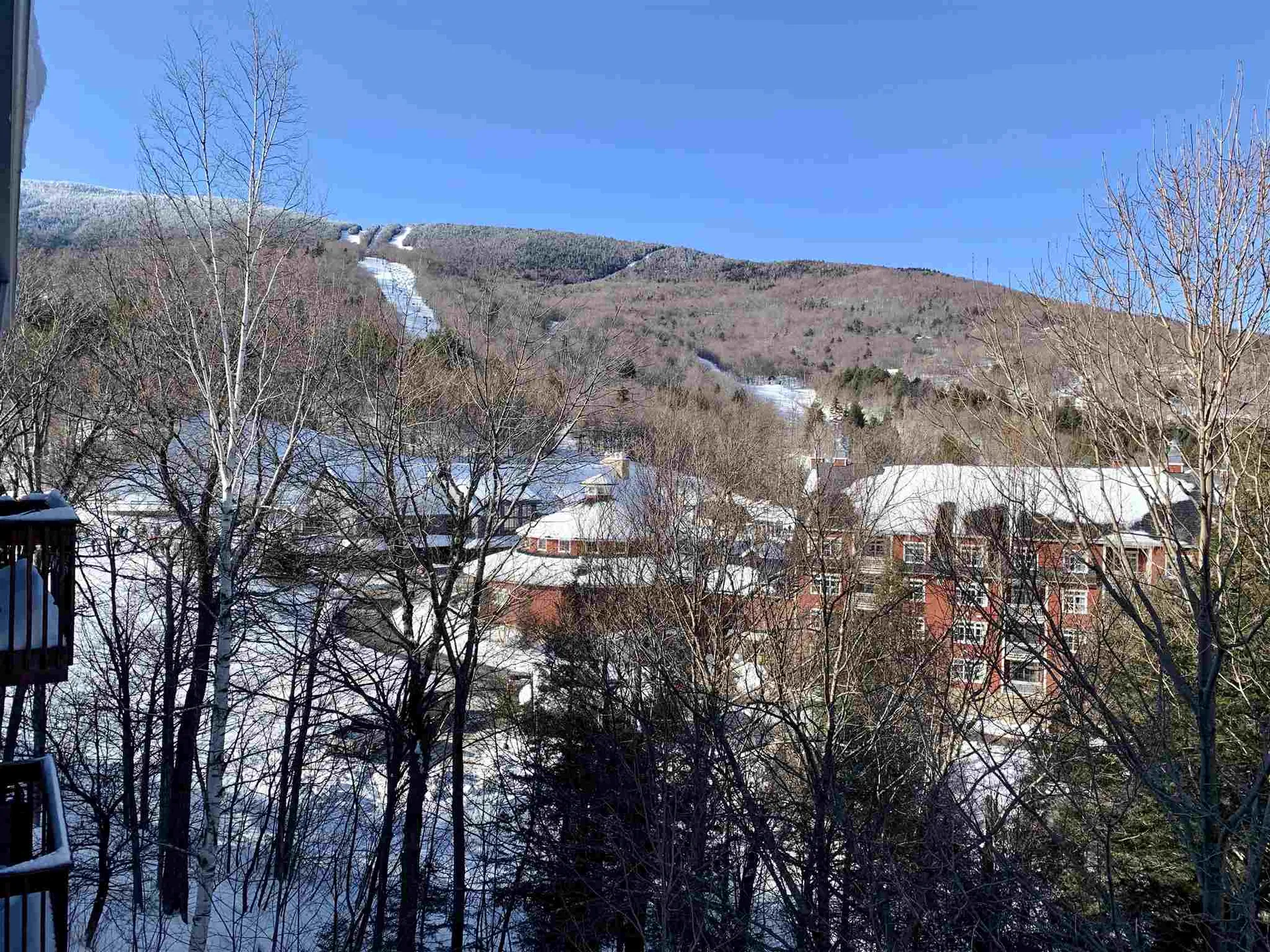 25 Snow Creek Road Warren VT 05674