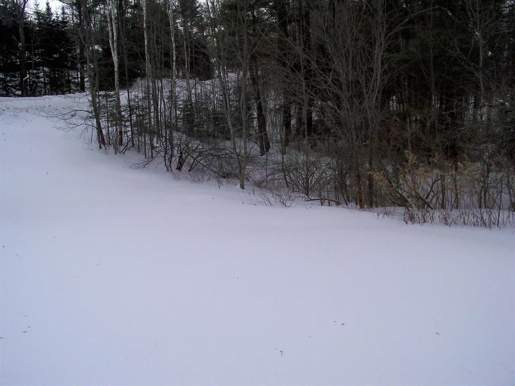665 Four Corners Road Springfield NH 03284
