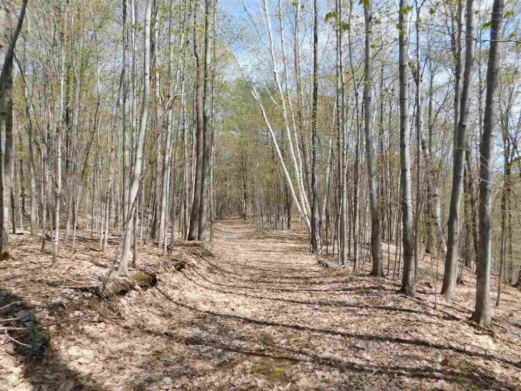 41 Lent Road Strafford VT 05070