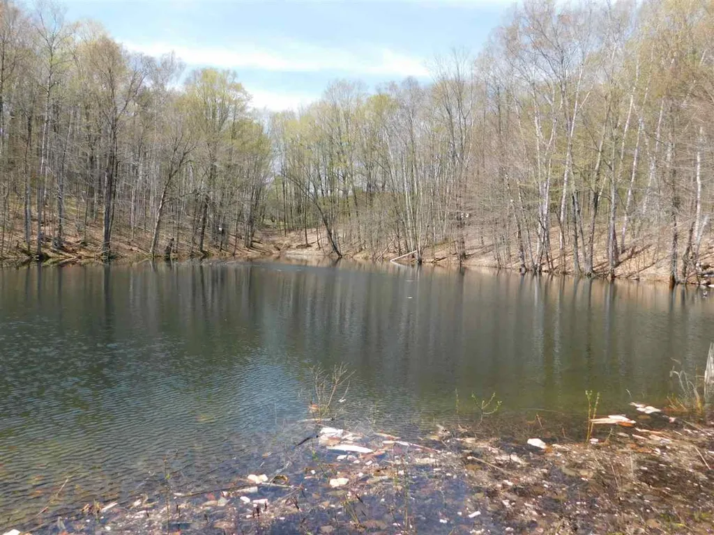 41 Lent Road Strafford VT 05070