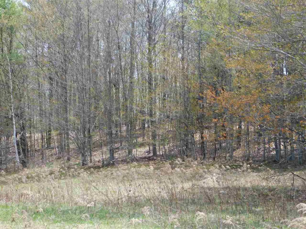 41 Lent Road Strafford VT 05070