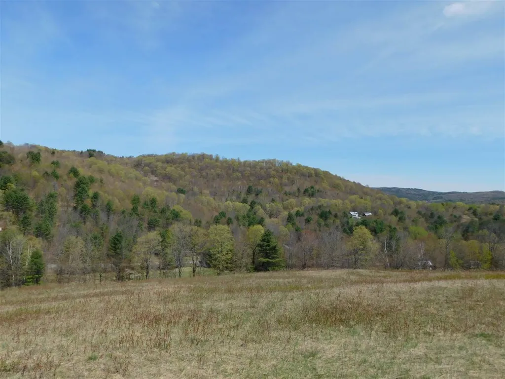 41 Lent Road Strafford VT 05070