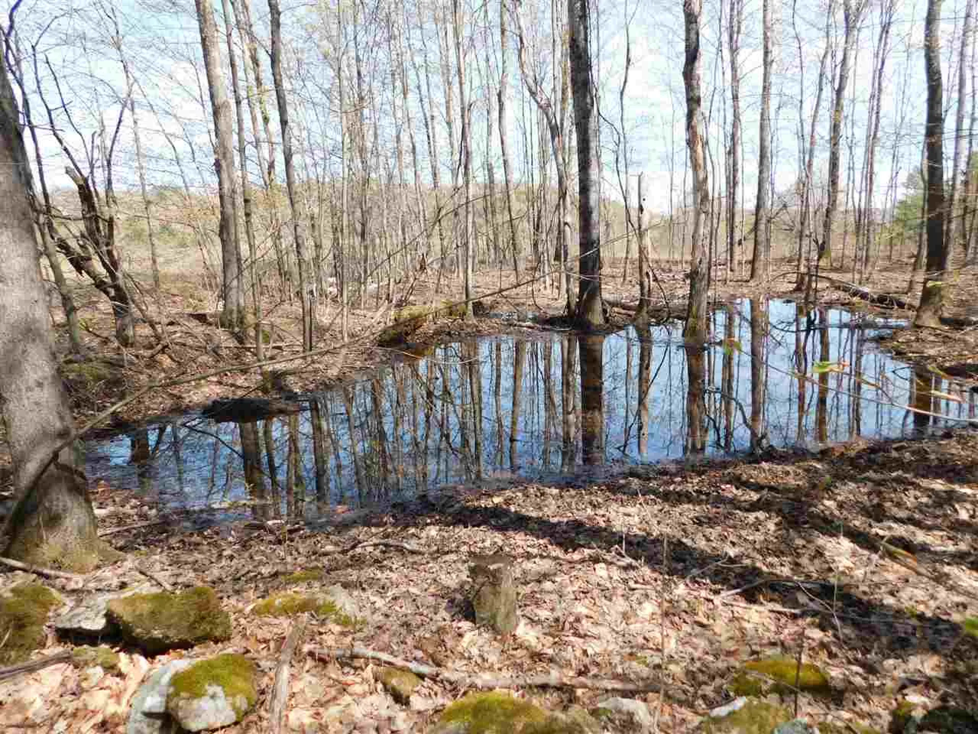 41 Lent Road Strafford VT 05070