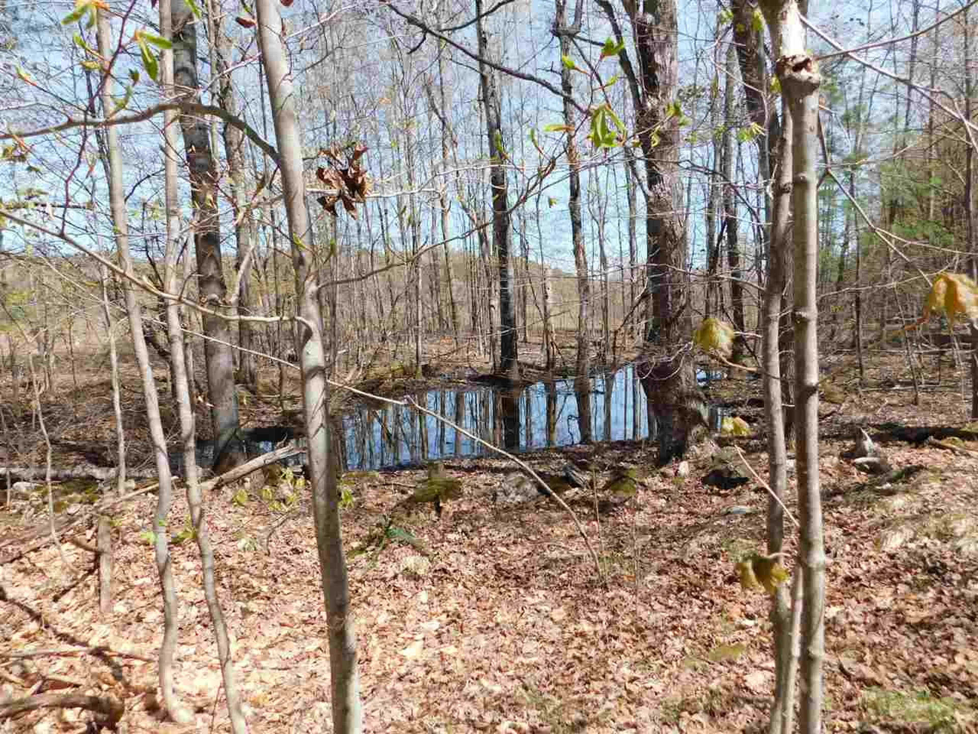 41 Lent Road Strafford VT 05070