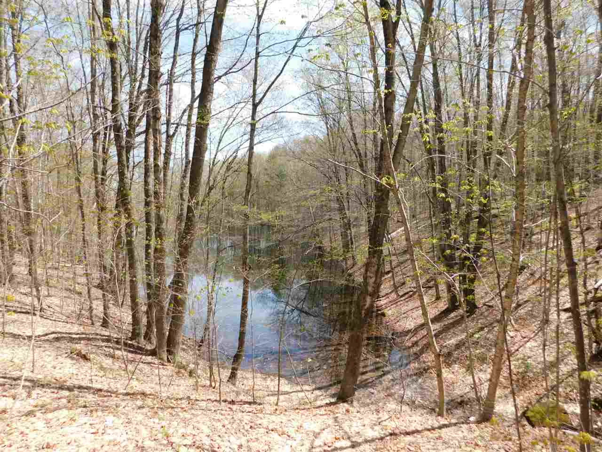 41 Lent Road Strafford VT 05070