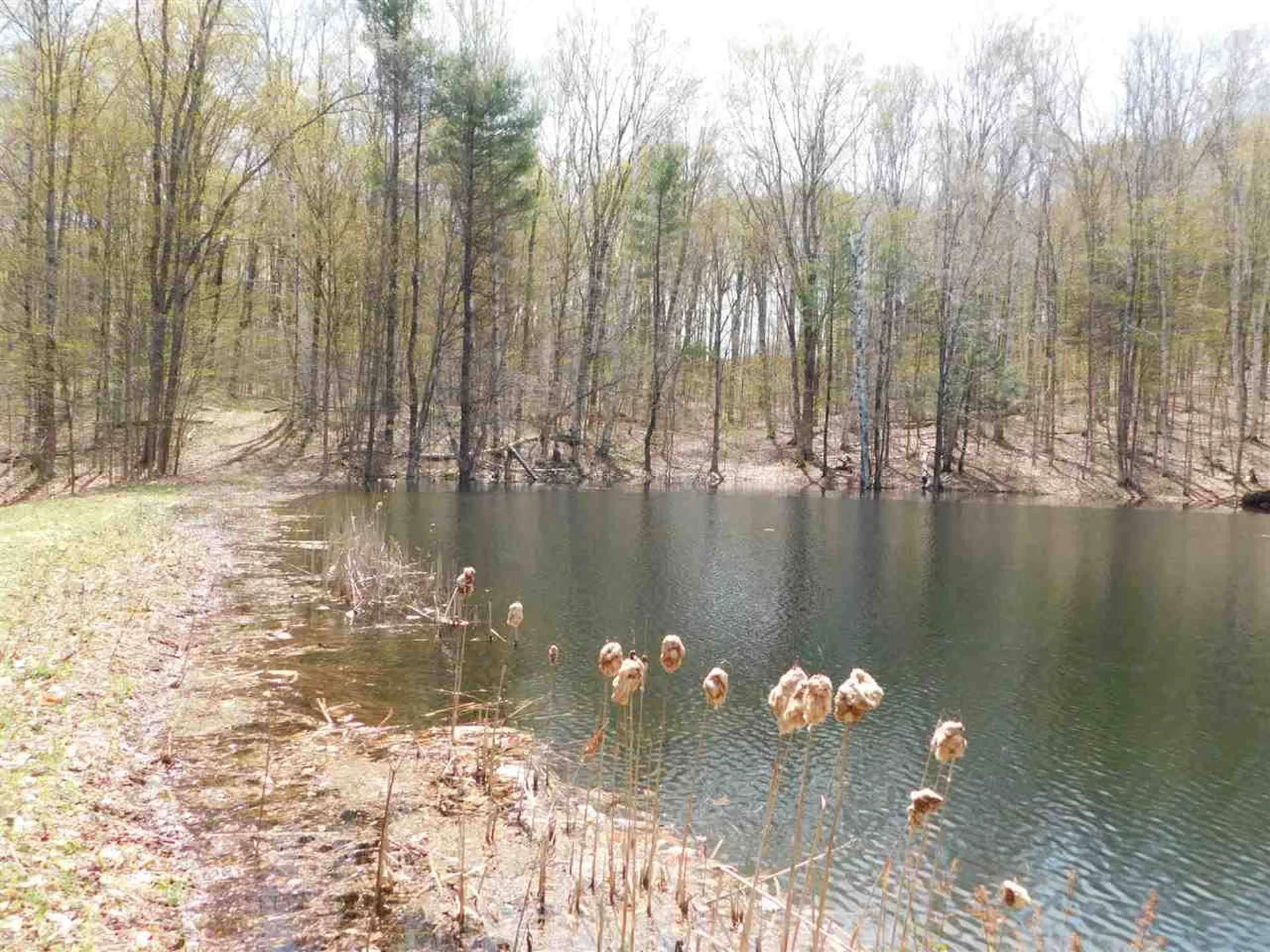 41 Lent Road Strafford VT 05070