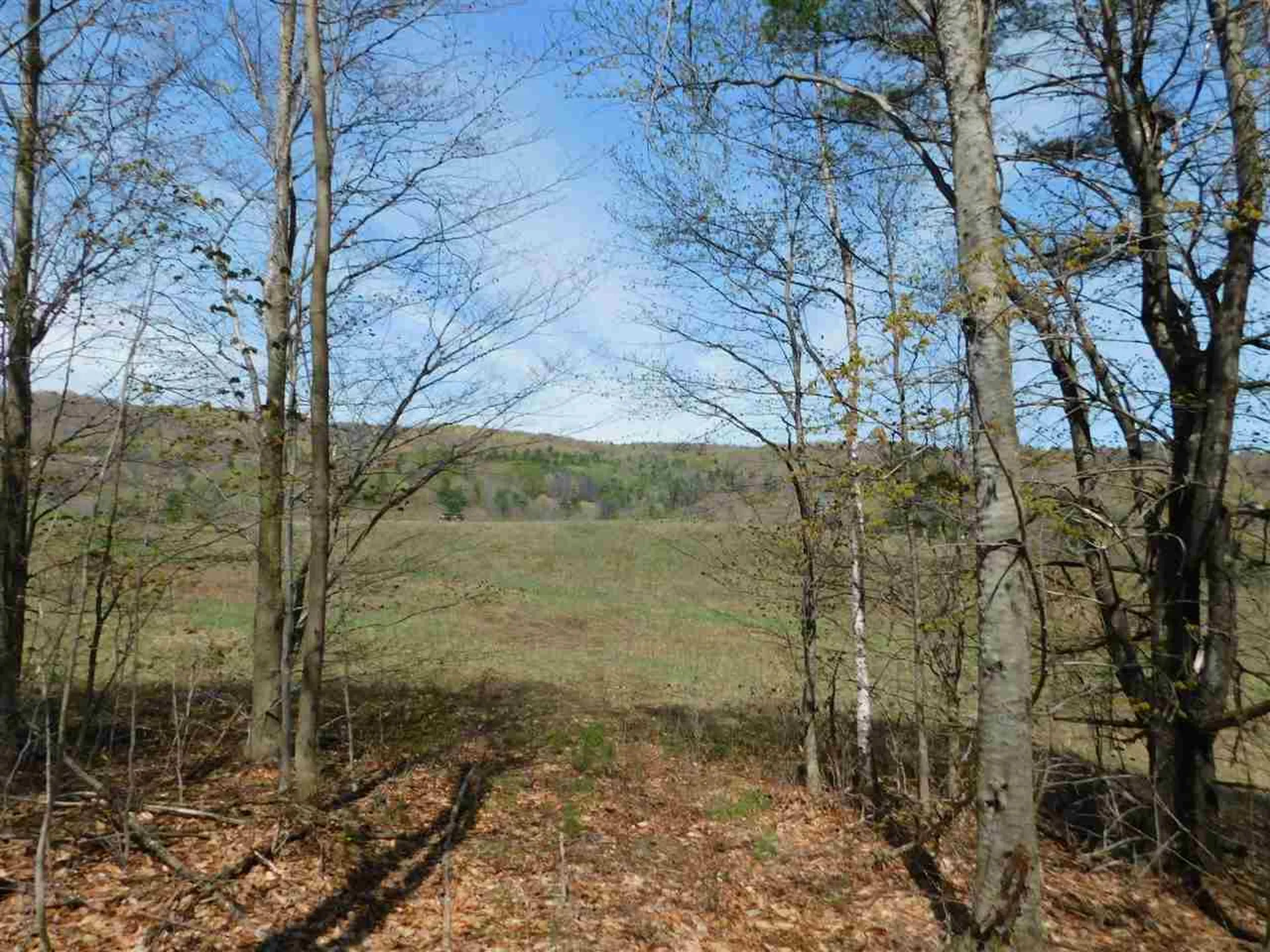 41 Lent Road Strafford VT 05070