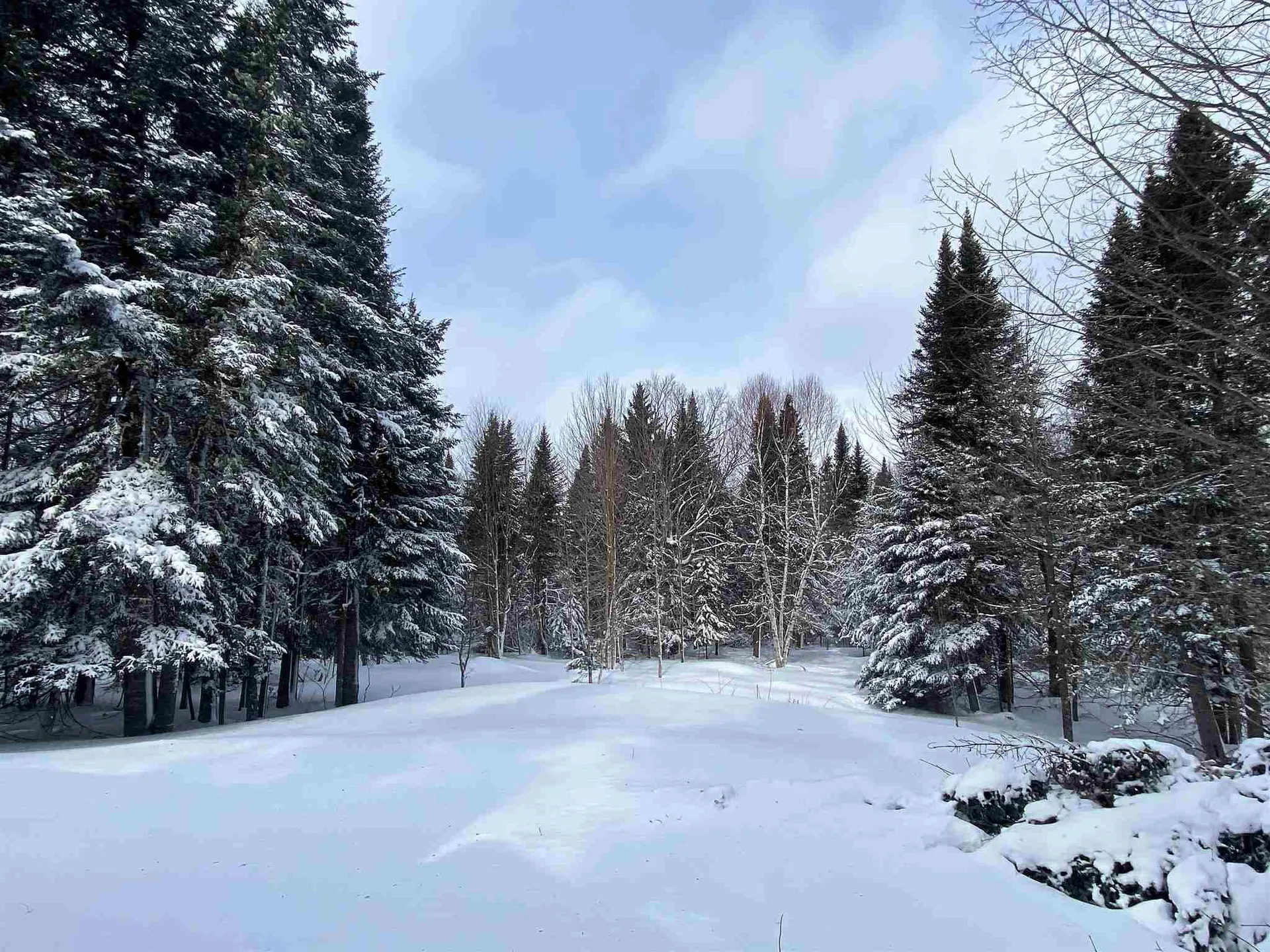 140 Vista Way Pittsburg NH 03592