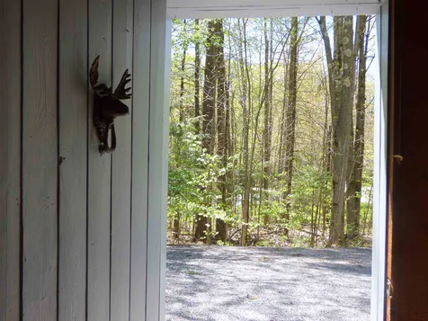 981 Stowe Hollow Road Stowe VT 05672