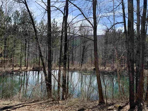 275 Iver Johnson Way Woodstock VT 05091