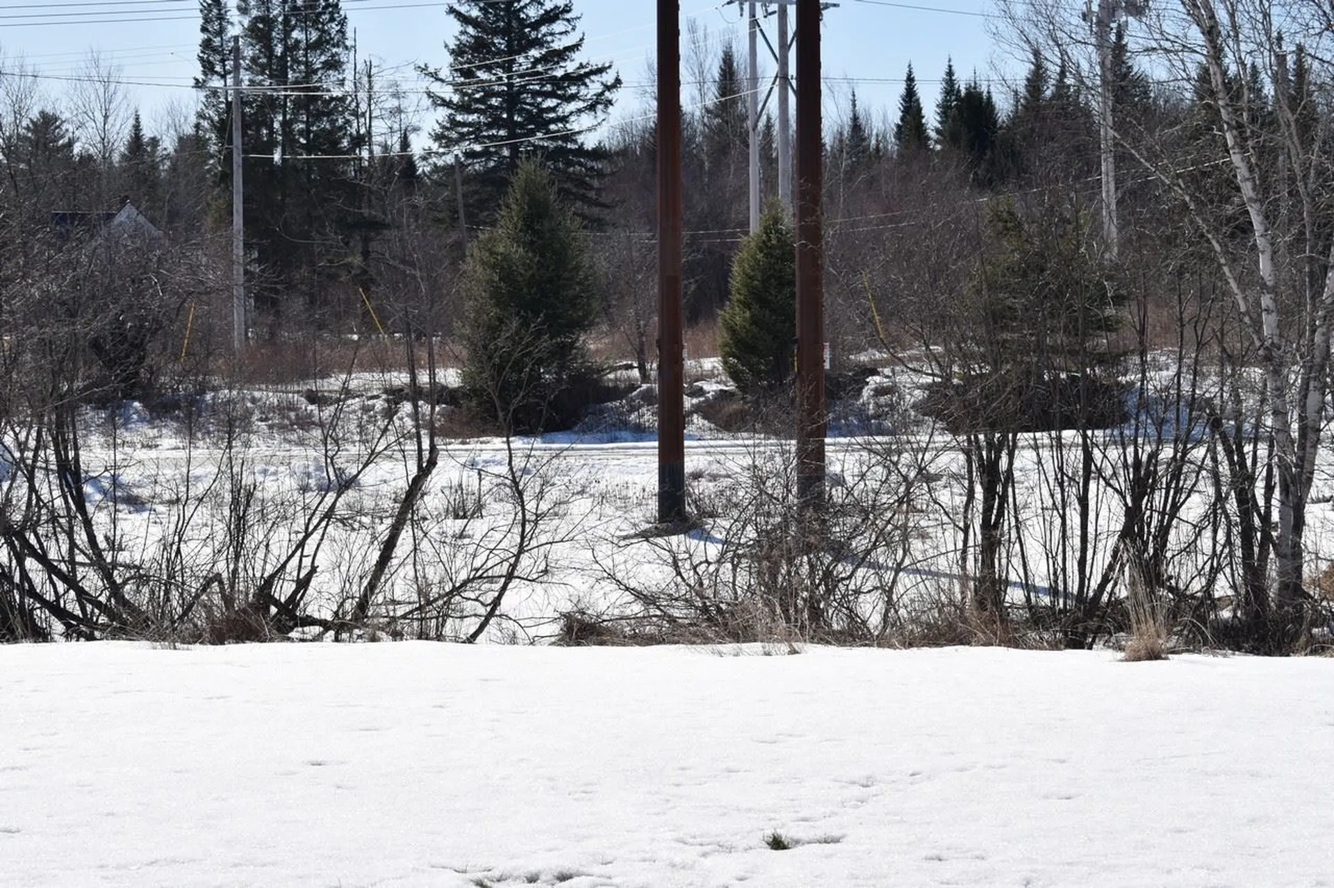 367 Jefferson Road Whitefield NH 03598