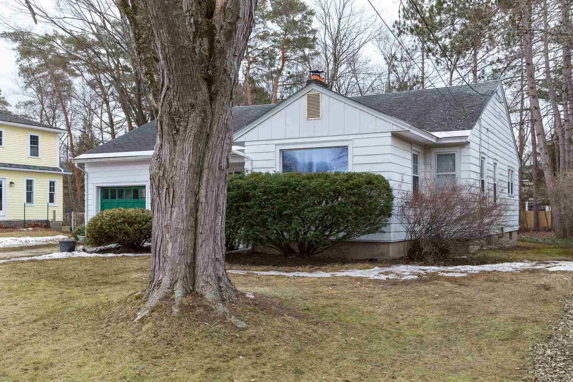 15 Woodbine Street South Burlington VT 05403