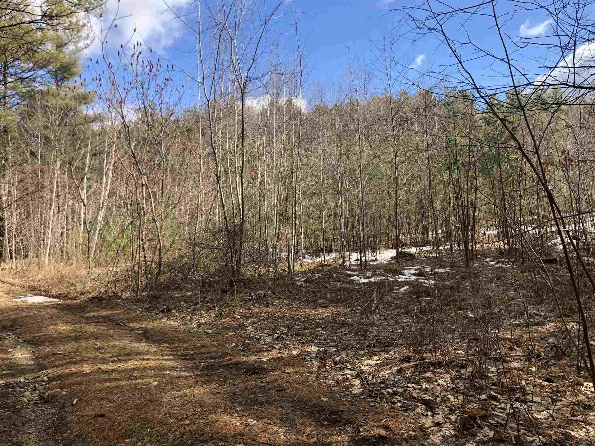 0 Skyboro East Road Pownal VT 05261