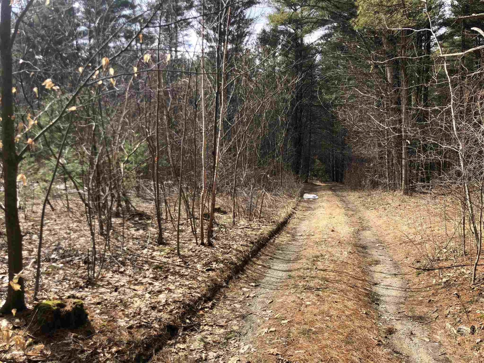 0 Skyboro East Road Pownal VT 05261