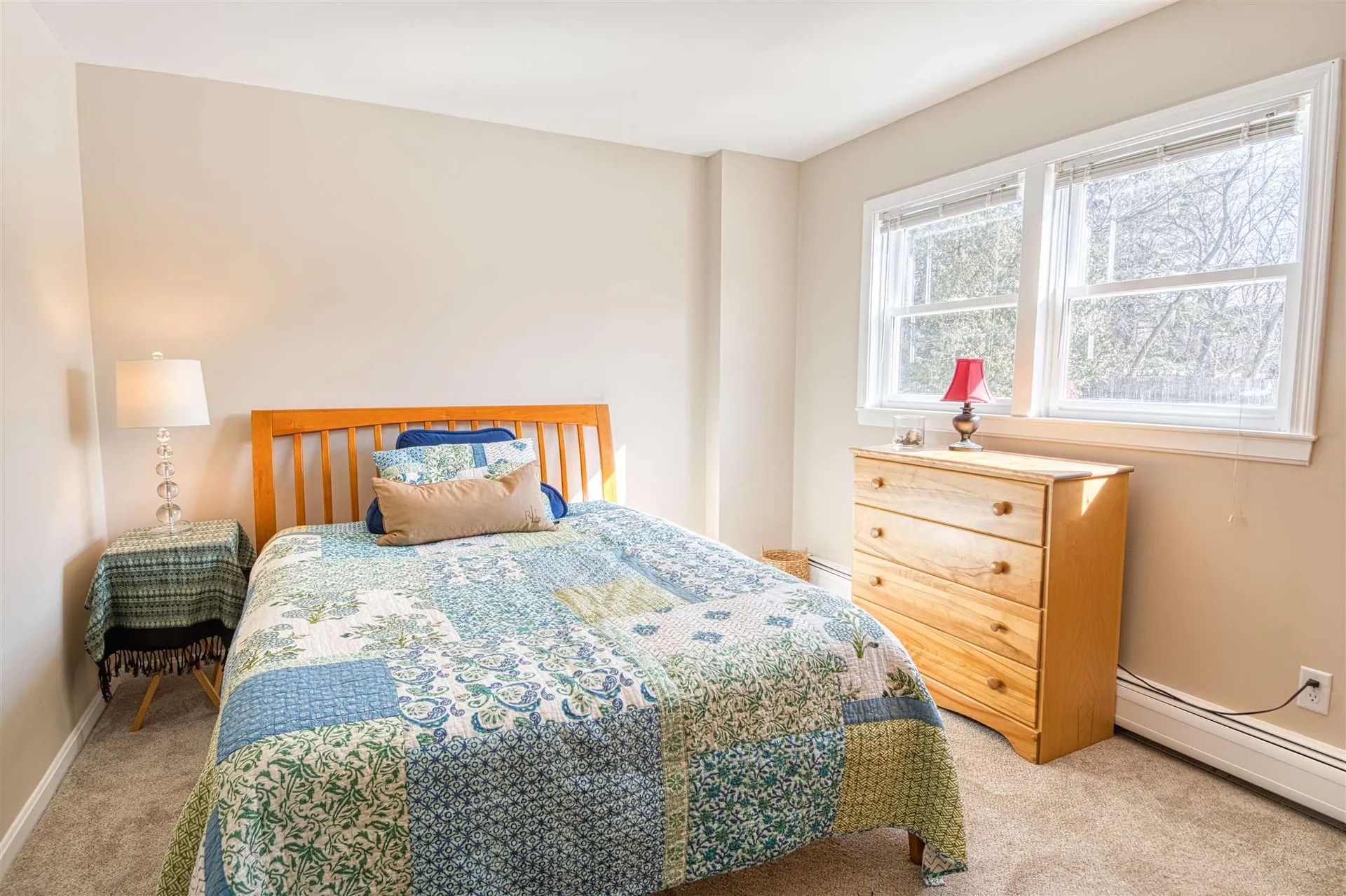 103 Palmer Court Shelburne VT 05482