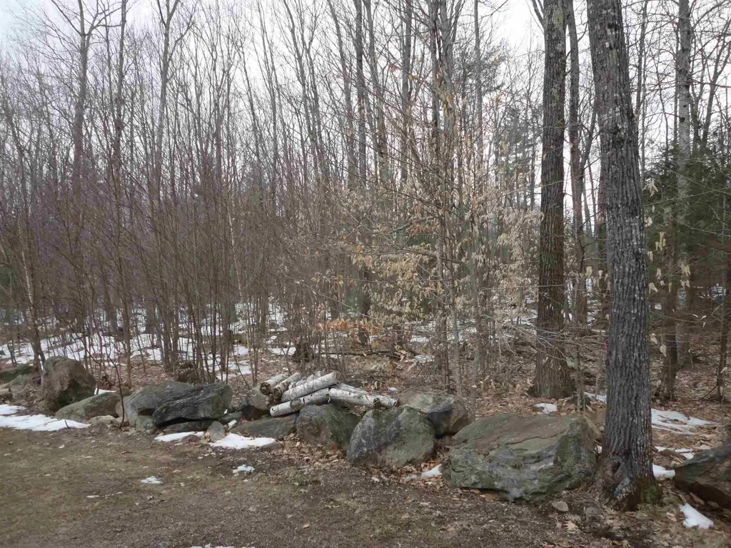 318 Silver Street Middleton NH 03887
