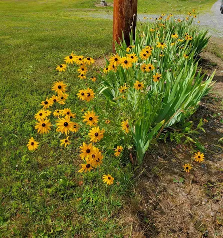 150 Parker Road Danville VT 05828
