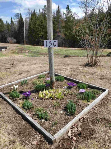 150 Parker Road Danville VT 05828