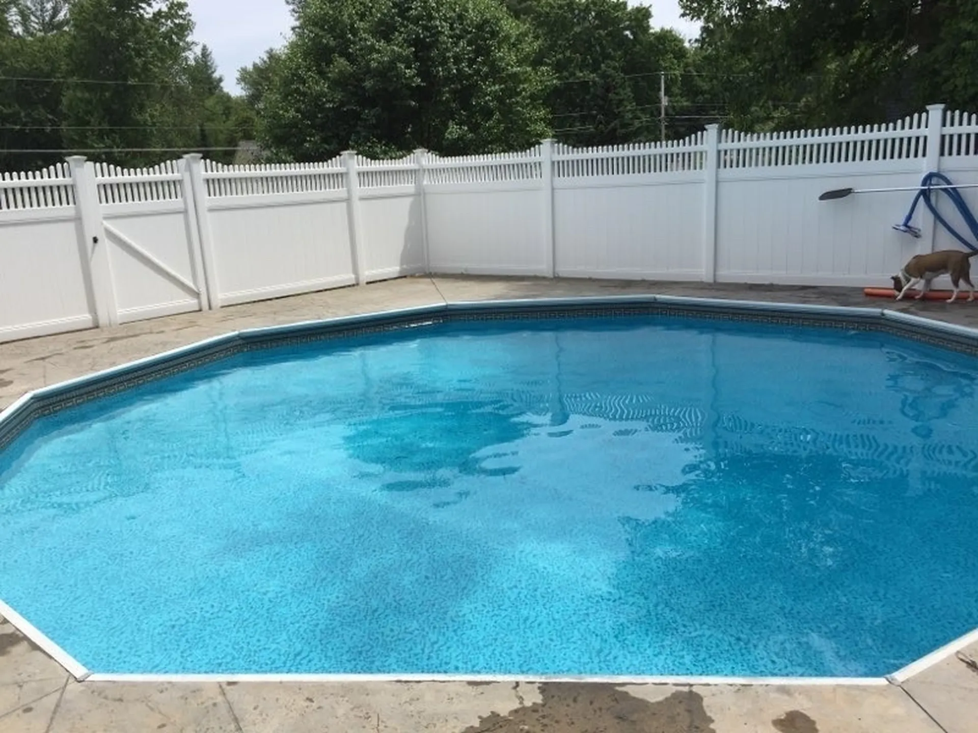 50 Musket Drive Nashua NH 03062