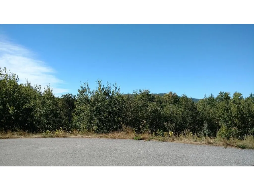 Lot Evans Hill Road Alton NH 03810