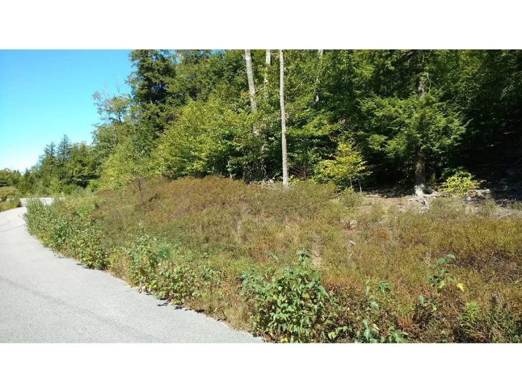 Lot Evans Hill Road Alton NH 03810