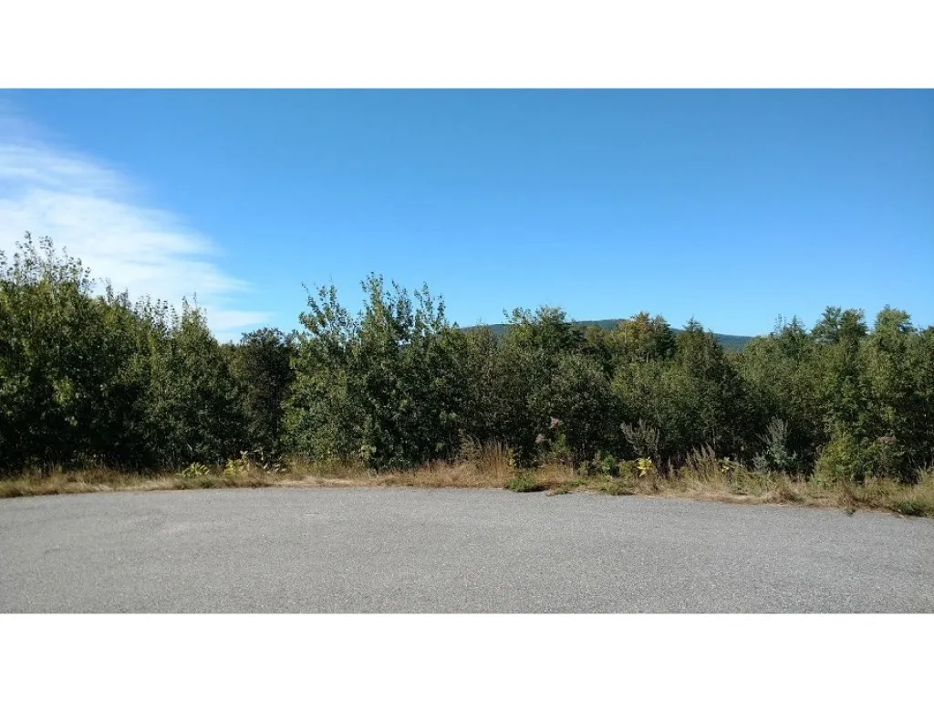 Lot Evans Hill Road Alton NH 03810