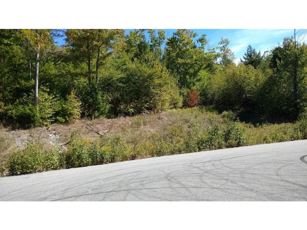 Lot Evans Hill Road Alton NH 03810