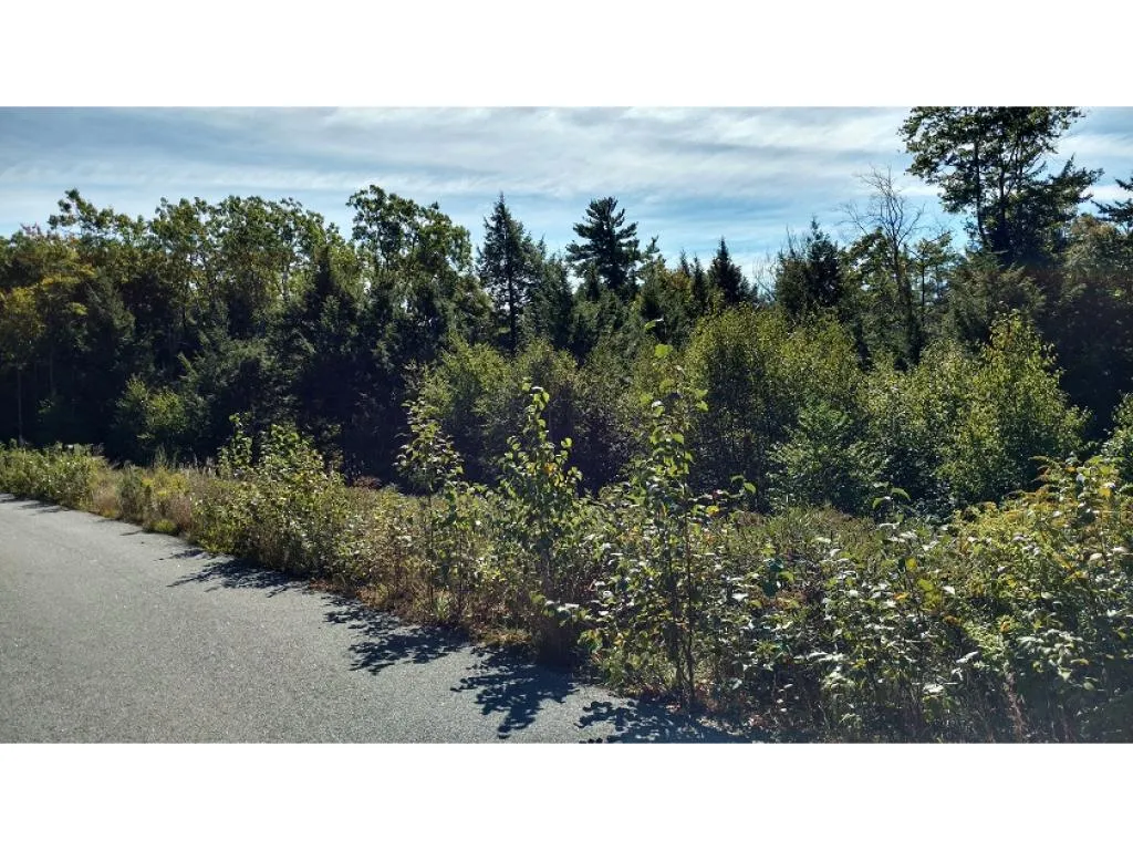Lot Evans Hill Road Alton NH 03810