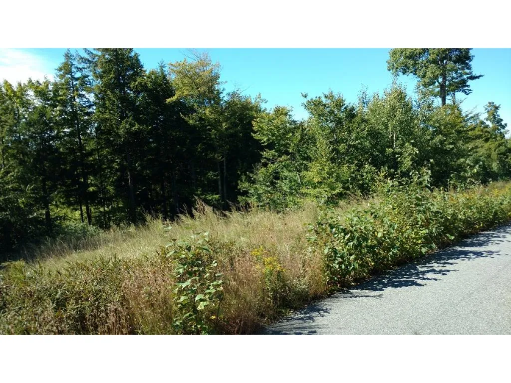 Lot Evans Hill Road Alton NH 03810