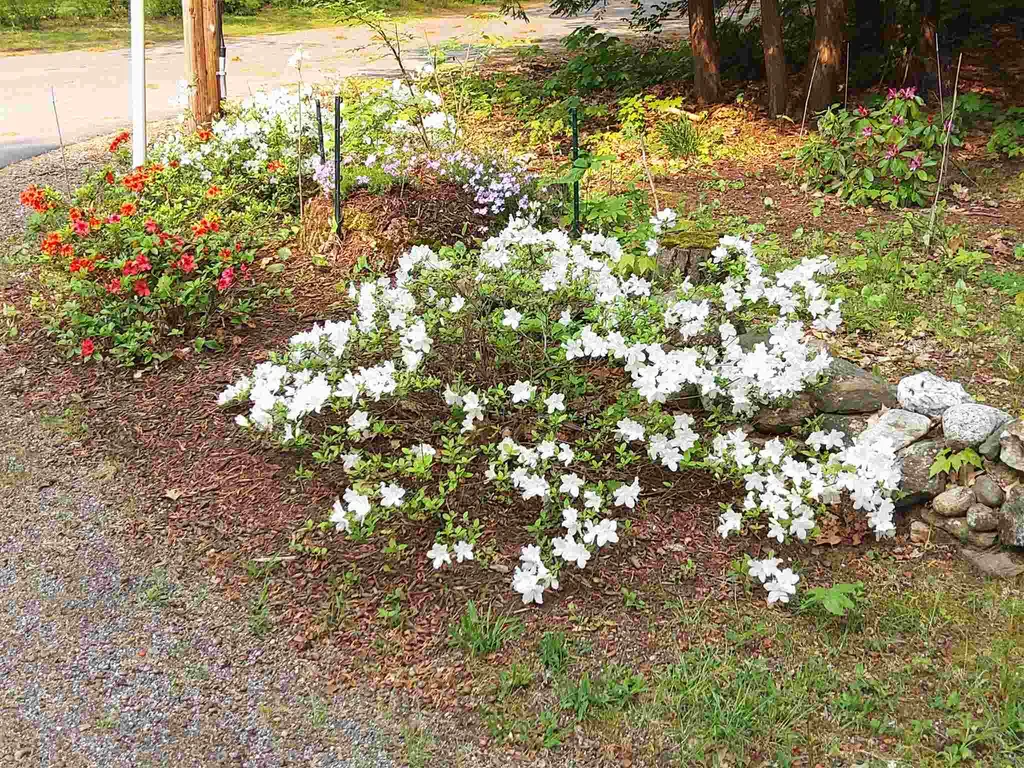 3 Wheelock Road Claremont NH 03743