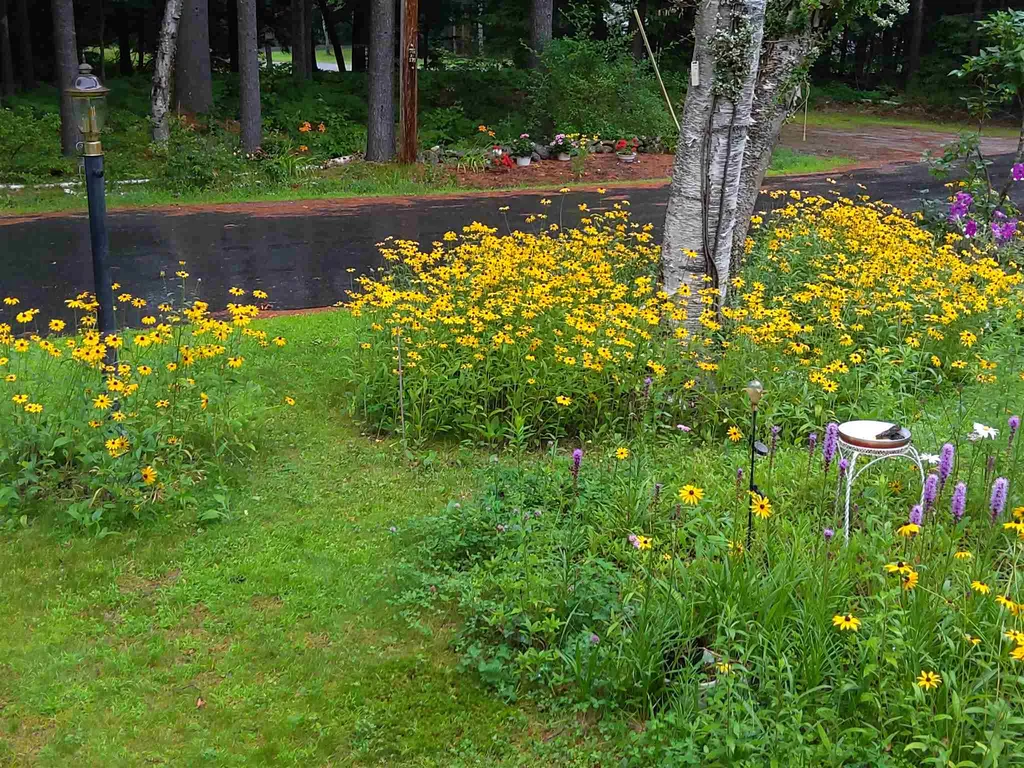 3 Wheelock Road Claremont NH 03743