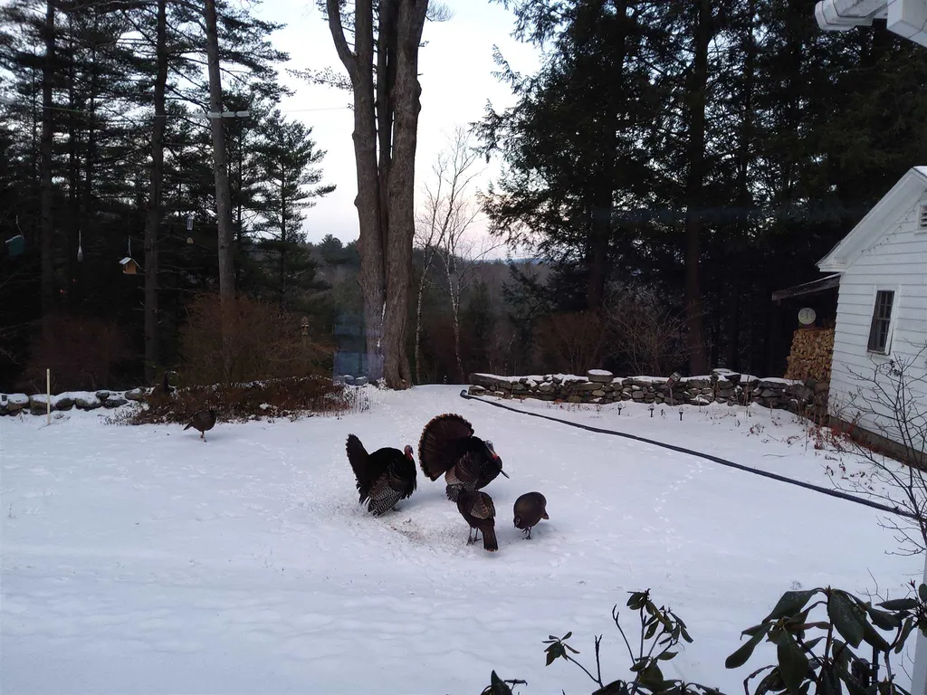 3 Wheelock Road Claremont NH 03743