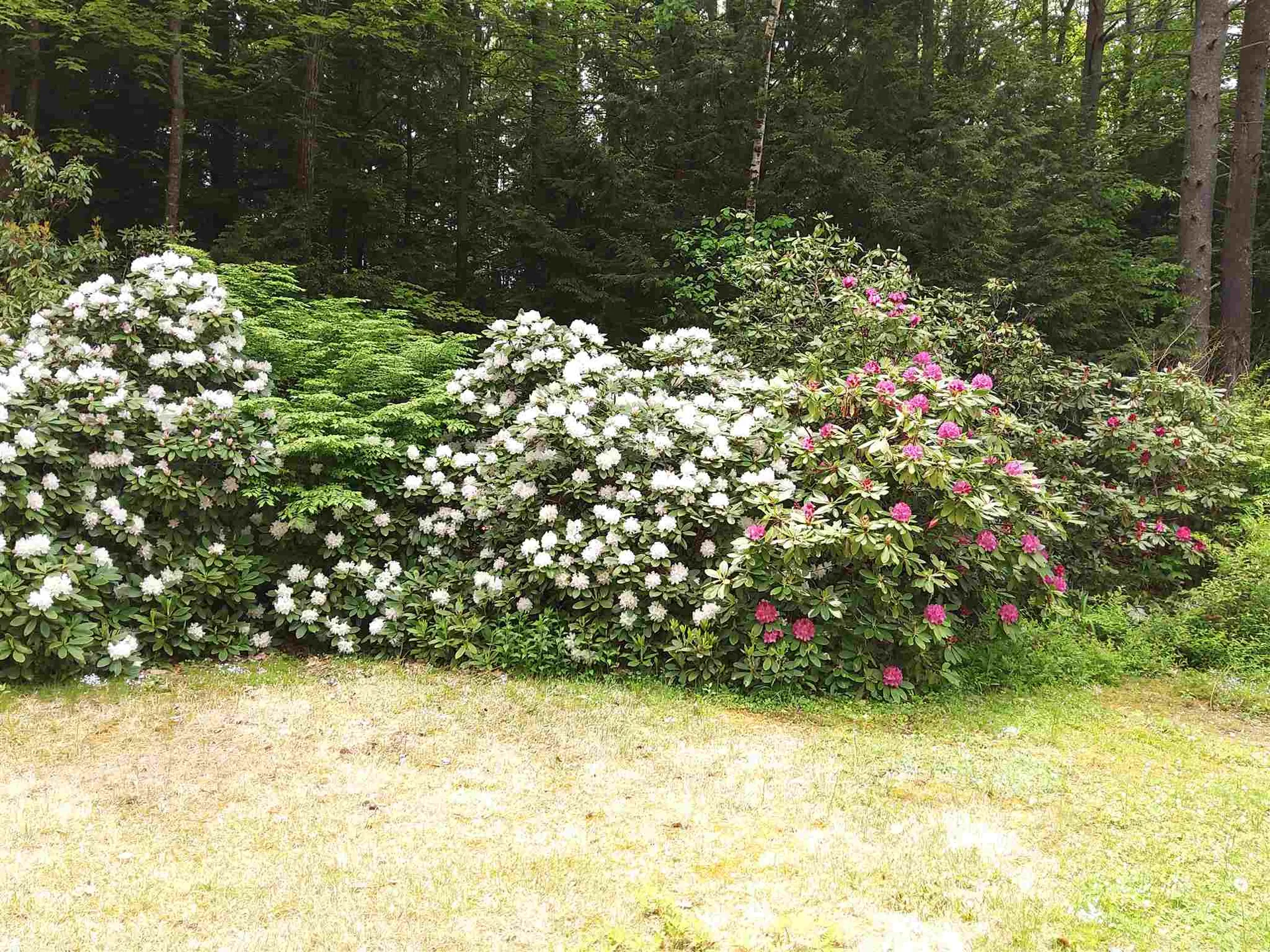 3 Wheelock Road Claremont NH 03743