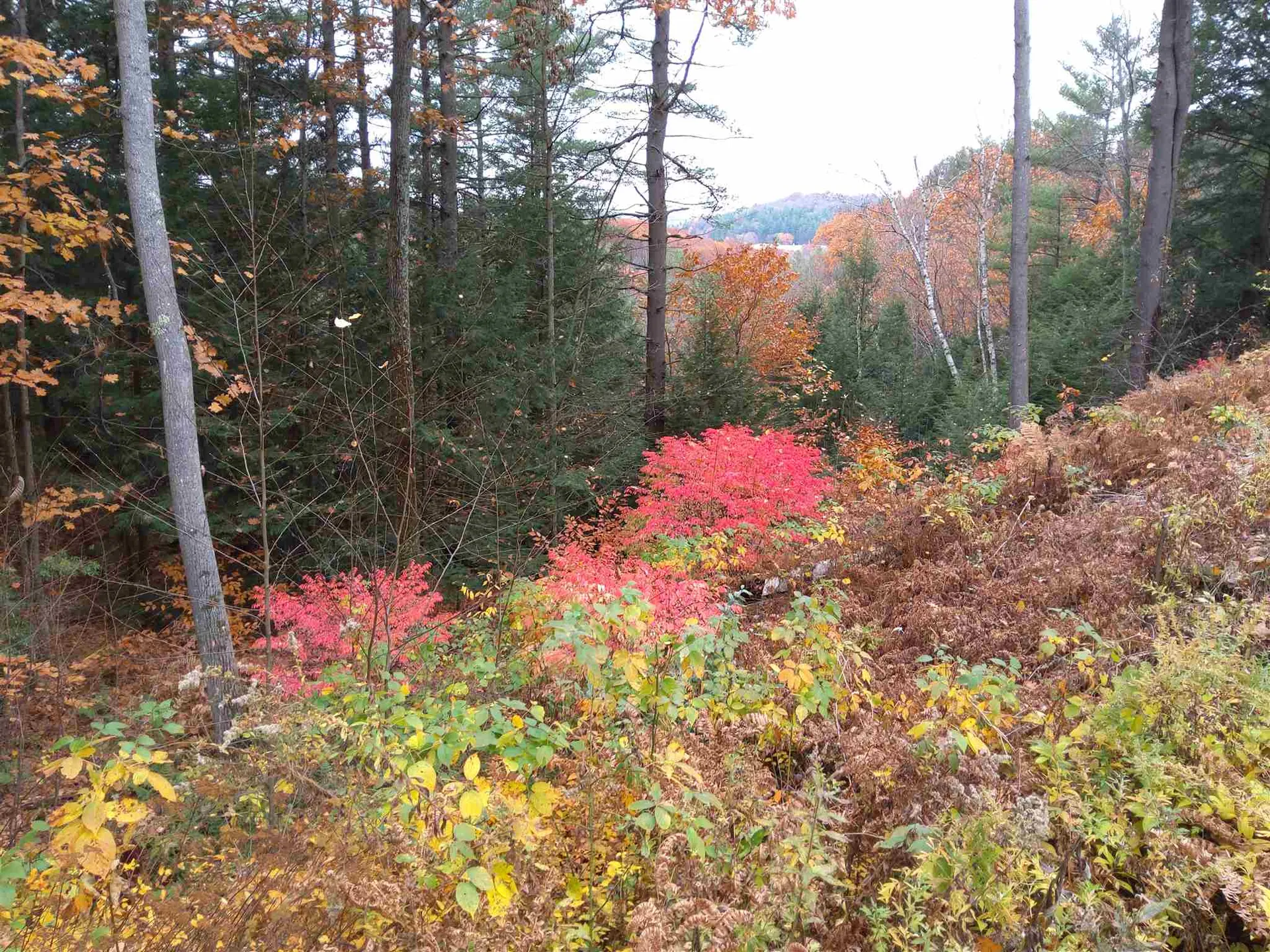 3 Wheelock Road Claremont NH 03743