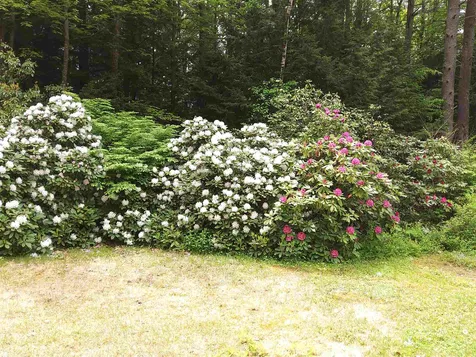 3 Wheelock Road Claremont NH 03743