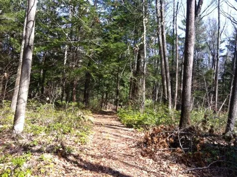 95 Powers Street Milford NH 03055