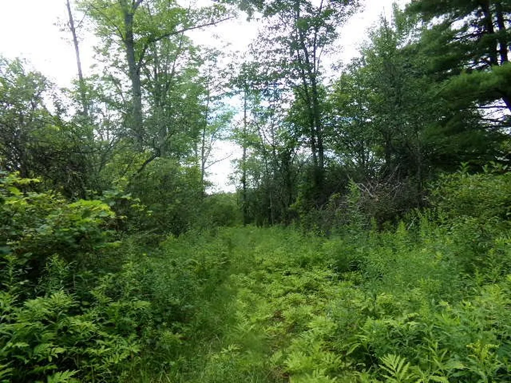 600 Horton Hill Road Shaftsbury VT 05262