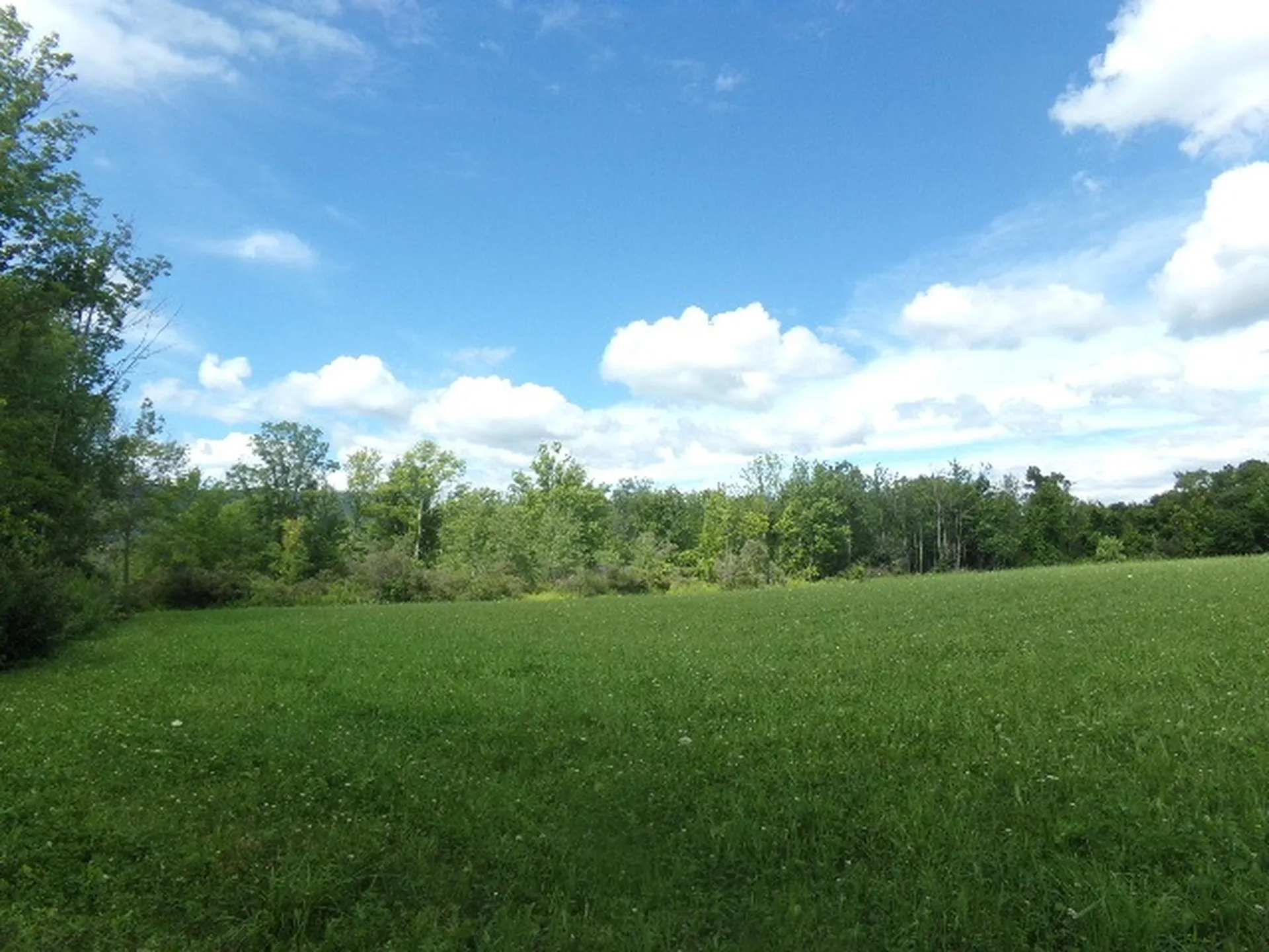 600 Horton Hill Road Shaftsbury VT 05262