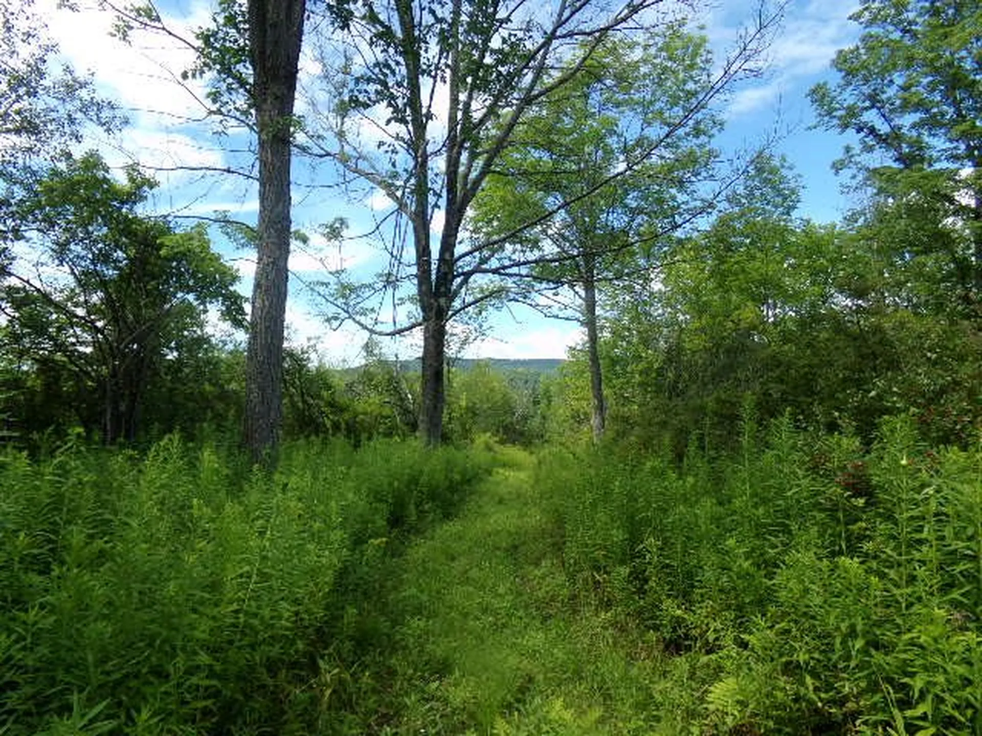 600 Horton Hill Road Shaftsbury VT 05262