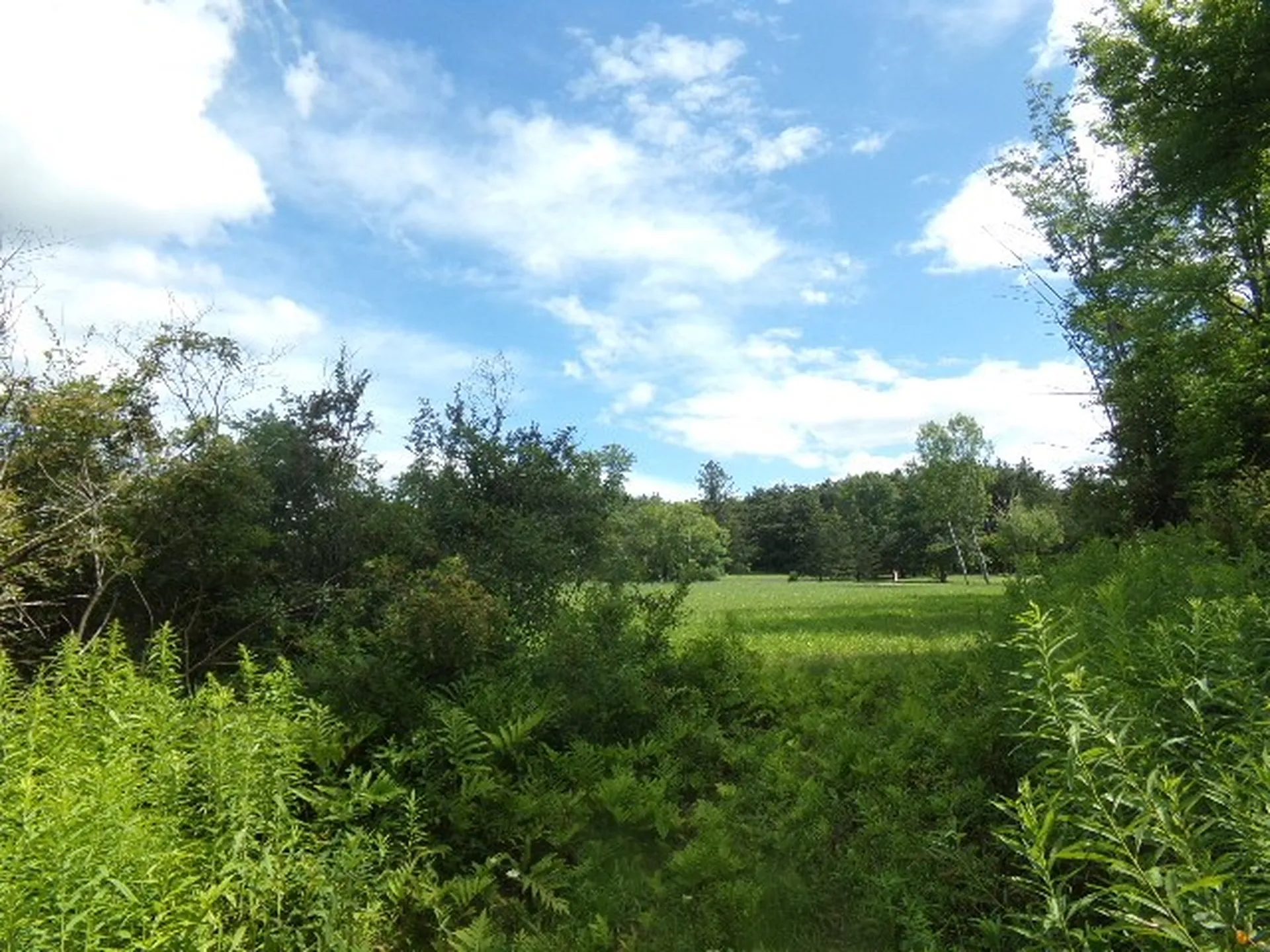 600 Horton Hill Road Shaftsbury VT 05262